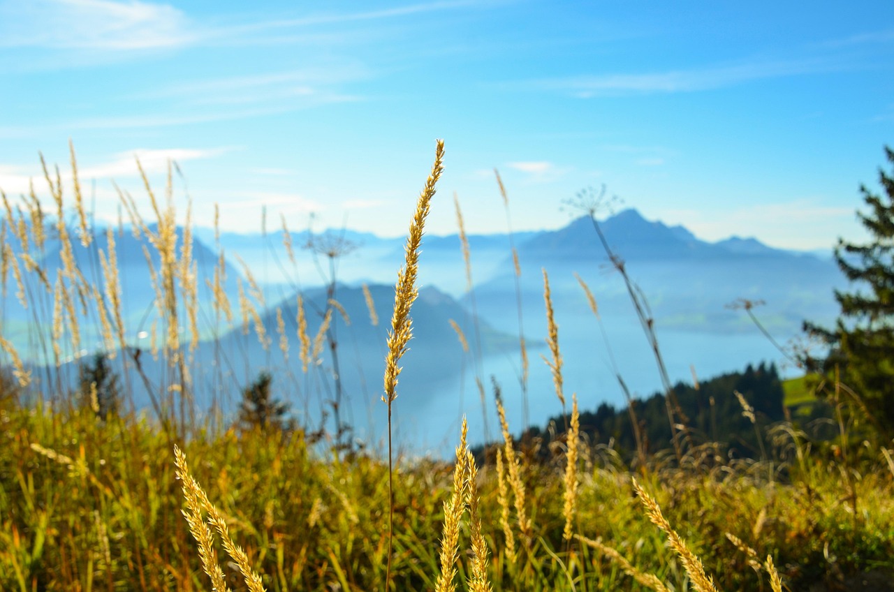 https://bestbtransfer.si/wp-content/uploads/2025/12/lake-blad.jpg